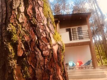 Фотографии Виллы VIP Sweet Home in Shekvetili г. Шекветили (Грузия) №3 Фото Виллы VIP Sweet Home in Shekvetili г. Шекветили 3