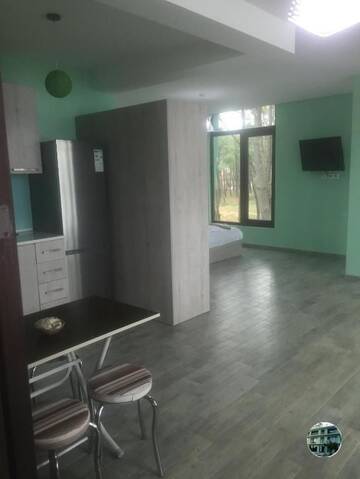 Фото номера Улучшенный семейный номер Гостевой дом Shekvetili Green House г. Шекветили 25